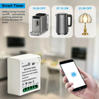 Matter WIFI Smart Switch Relay Smart Breaker Voice Control Homekit Siri 1 CH Module Automation Alexa Google Home