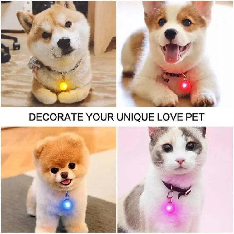 Popular Waterproof Luminous Pet Collar, Adjustable LED Flashing Glow Anti-Lost Collar with Pendant, Safe Night Accessory for Sma