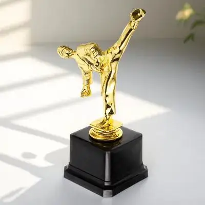 

Martial Move Playing Trophy Cup for Award Ceremony Competition Party Celebration Trophy Decor Winner Prize Gift School