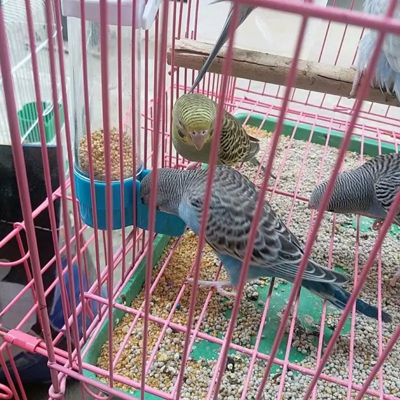 77ja Pet Bird nhựa tự động nạp vẹt vẹt vẹt nước cho người uống nước uống