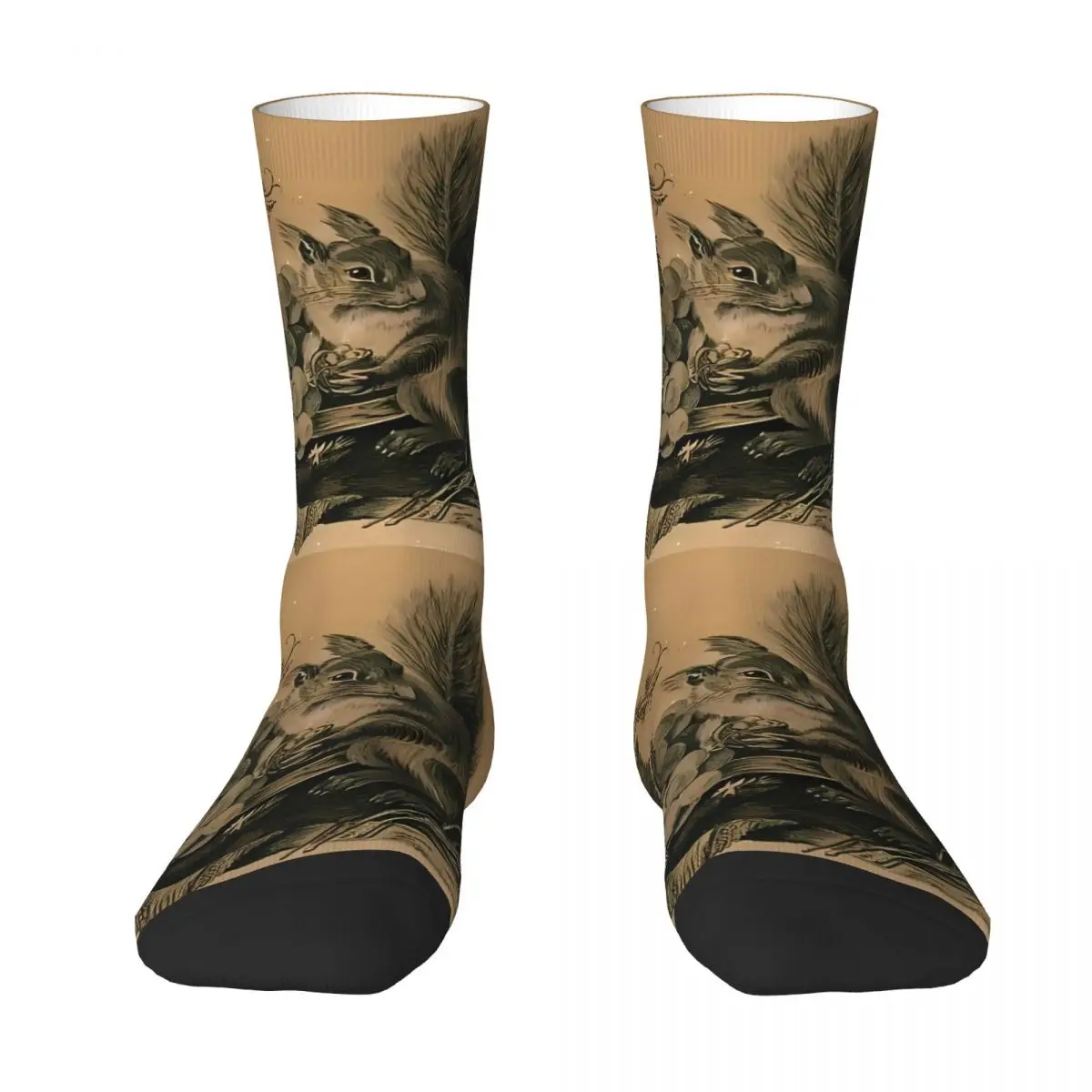 Squirrel Sock Printed Man Polyester
