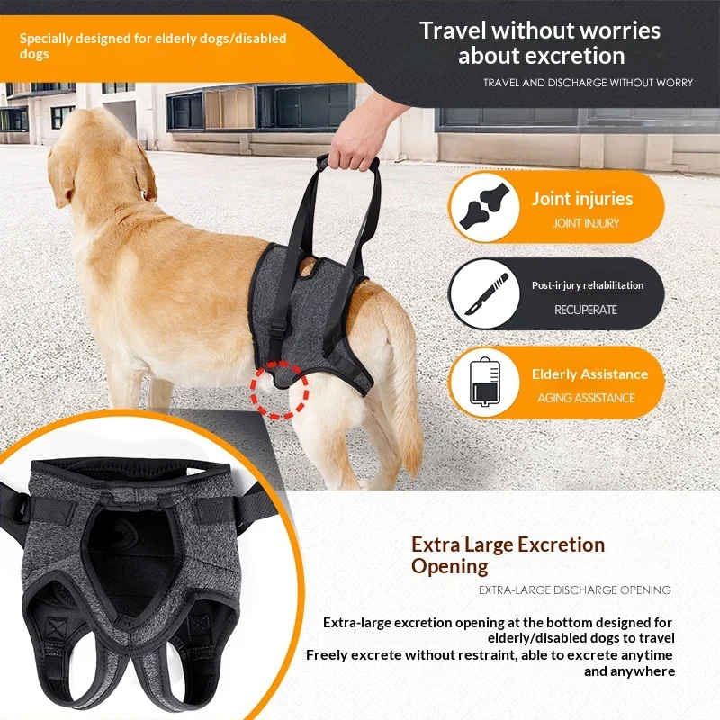 Hunde-Stützgurt der 2. Generation – rutschfeste Hüftwickel für gleichmäßige Gewichtsverteilung, Rehabilitation und Reisehilfsgürtel (CE-zertifiziert) ​