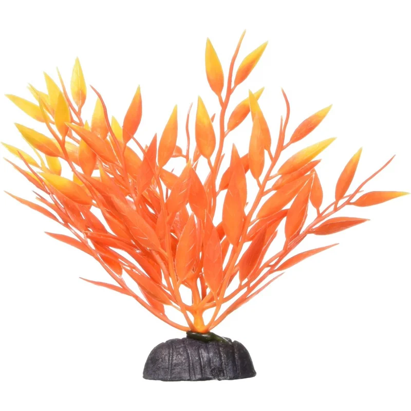 نبات مارينا بيتا فاير جراس البلاستيك، 5 بوصة #1