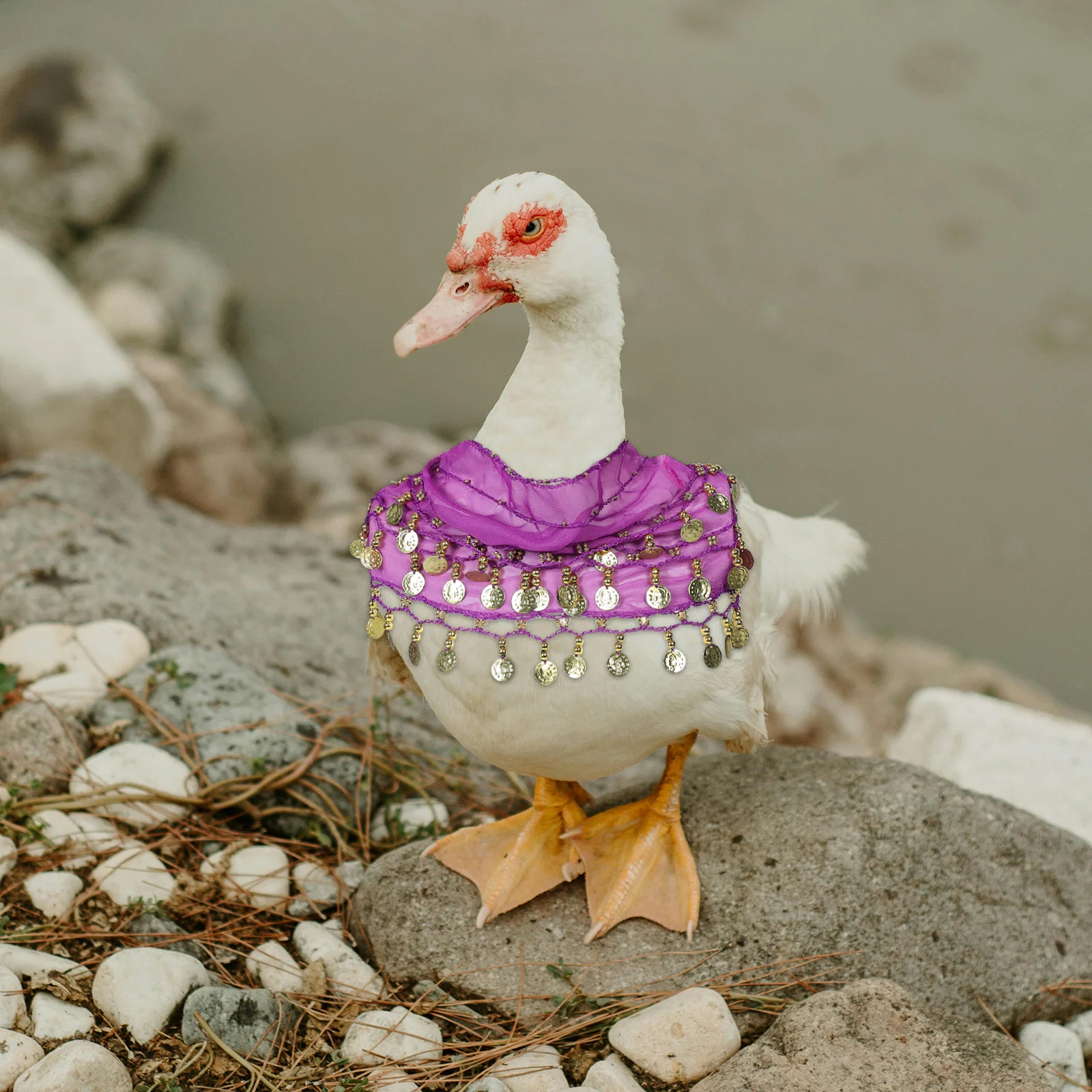 

1Set Pet Costume Set Porch Goose Summer Outfit Belly Dancing Hip Scarf Headscarf Party Holiday Dancing Costume