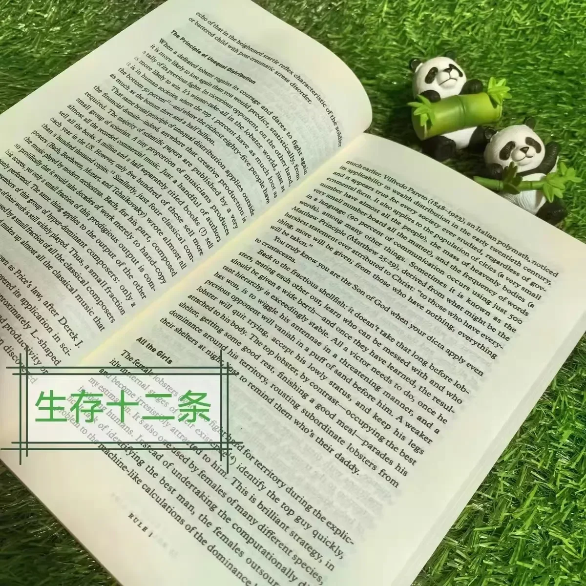 Twelve Rules: 12 Rules for Life: An Antidote To Chaos - Jordan Peterson's Guide To Philosophical Thinking and Practice