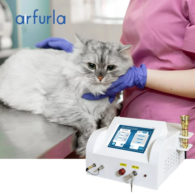 30w Level Therapy Veterinary Laser For Pain Relief And Wound Healing In Pets  Larger Animals