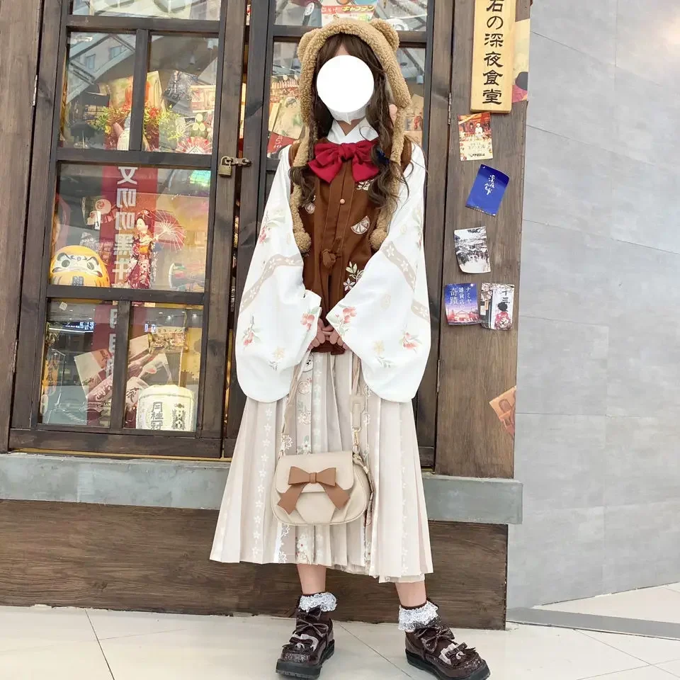 Modern Hanfu Chinese Traditional Fashion Dress Ming Dynasty Round Neck Women Autumn and Winter Style Brown Pleated Skirt