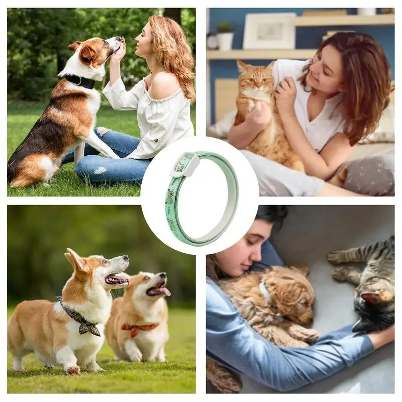 Pet anti-flea collar 37cm 53cm Adjustable Collar Pet Items Accessories 180-day long-term care for various body types Cat Dog