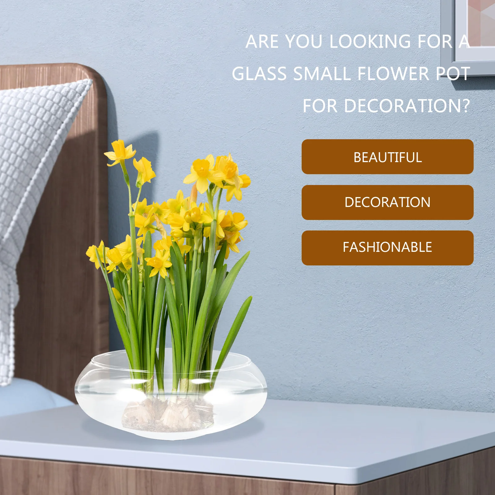 

Premium Glass Planter Pot for Succulents and Small Plants Clear Finish with Romantic Design Multipurpose for Home Office Balcony