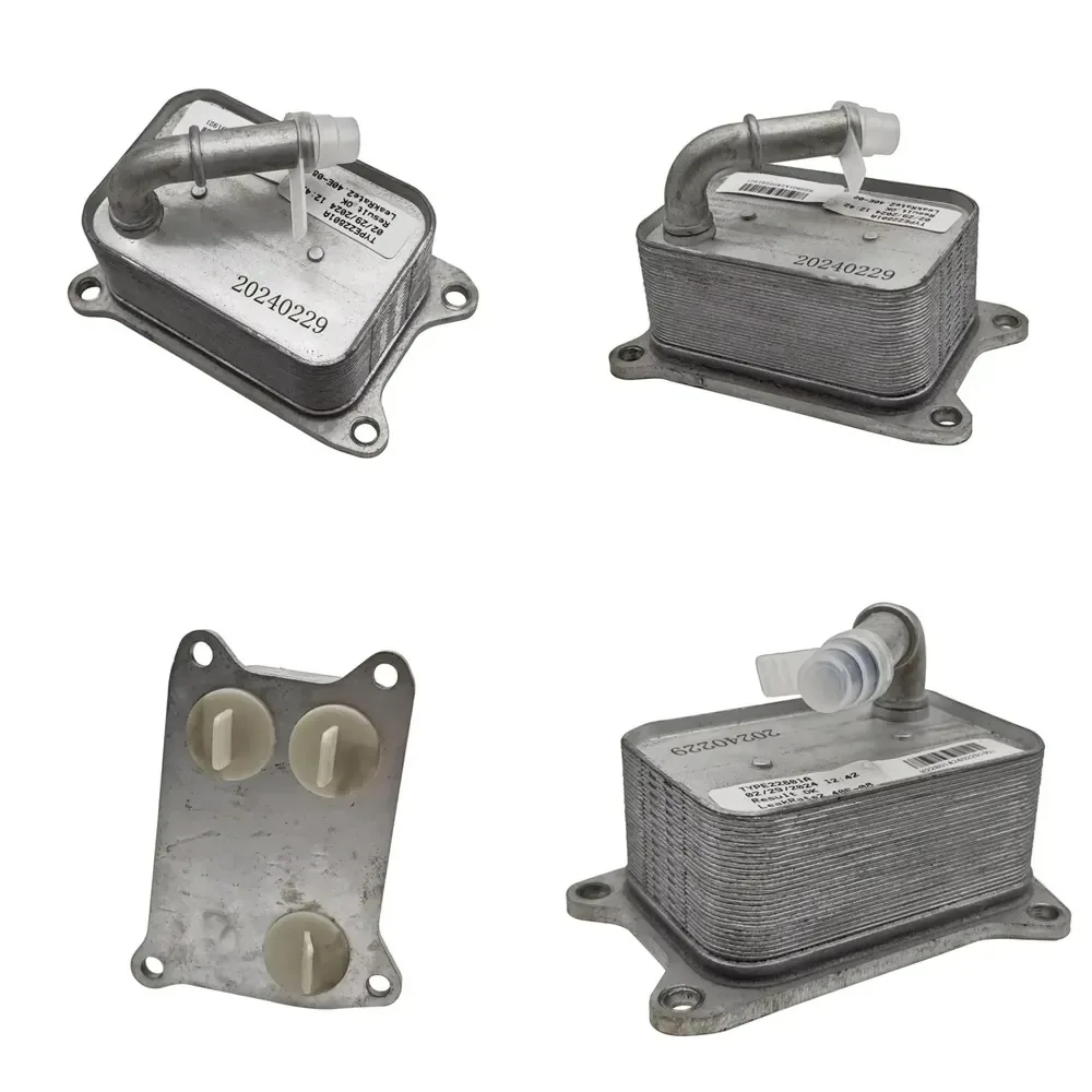 

Hot Sale Oil Cooler for SEGWAY Snarler AT6 L E5 S T3b L T3b Snarler AT6 S E5 OEM F01G20100001 ATV UTV Spare Parts