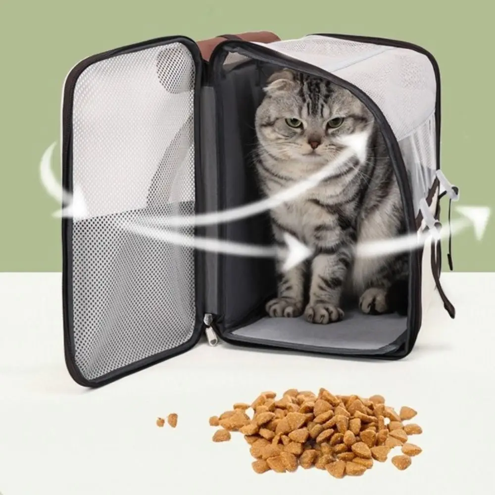 سعة كبيرة حامل الحيوانات الأليفة على ظهره تنفس الأشرطة قابل للتعديل القط نزهة على ظهره الأسطوانة مصراع هيكل قابل للطي #4