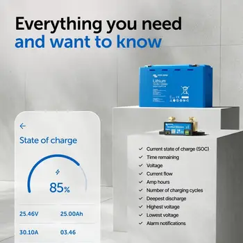 花園家具智慧分流器電池監控器(藍牙)- Victron 智慧分流器 - 6.5V-70V,500 安培 - 熱銷 6 最佳銷售 智慧分流器 - №6