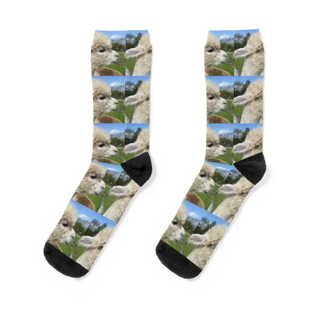 Alpaca Face Socks with print snow Socks For Girls Men's