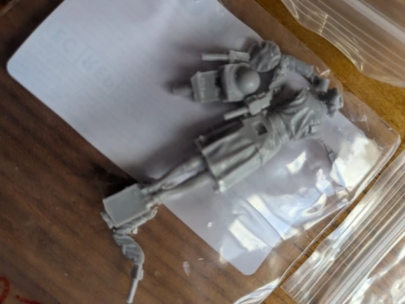 Buyer photo of this resin kit