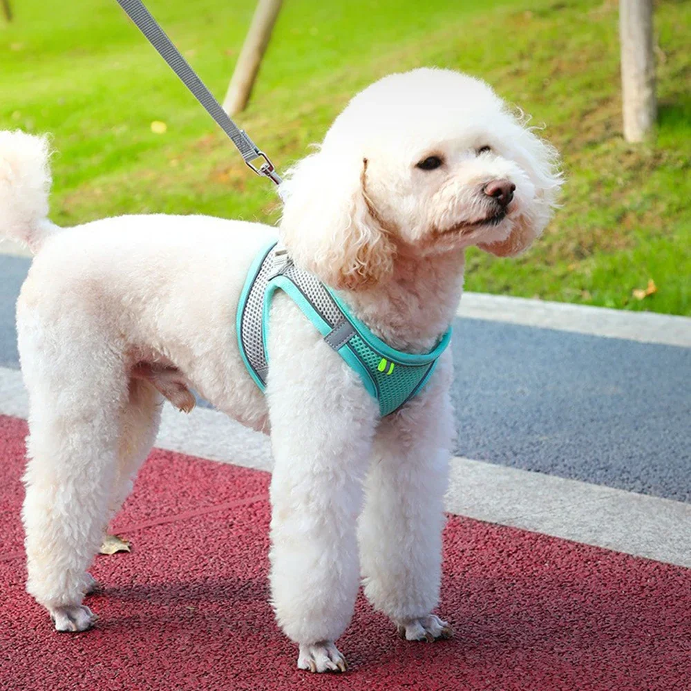 Pet Cat Dog Harness Vest Chest Rope Set Reflective Breathable Adjustable Pets Harness Kitten Collar for Small Medium Dogs Cats