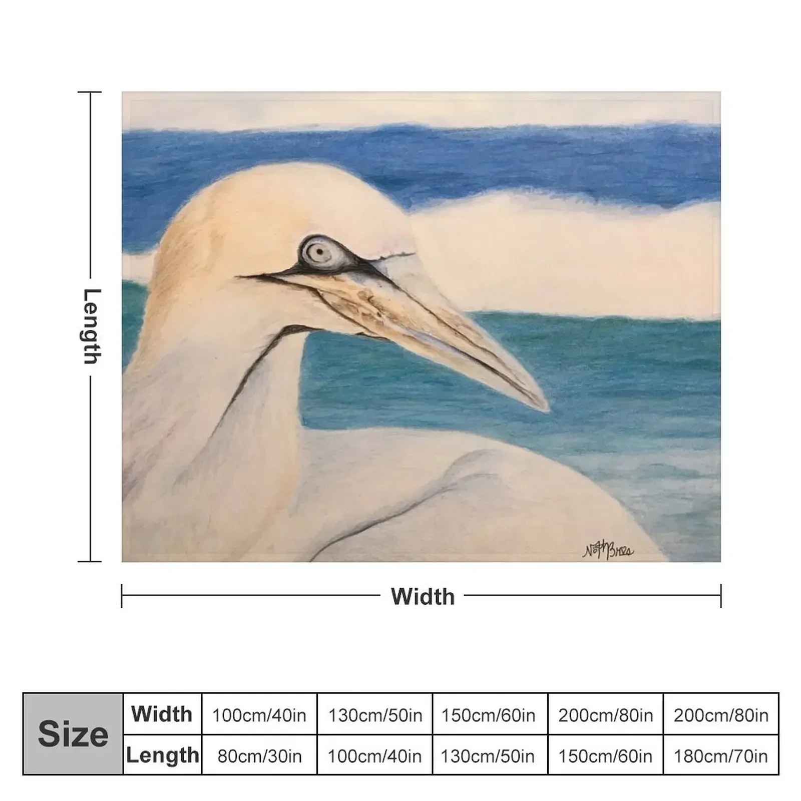 Superb Gannet at the beach | beach lover Throw Blanket for babies Beach Fashion Sofas Blankets