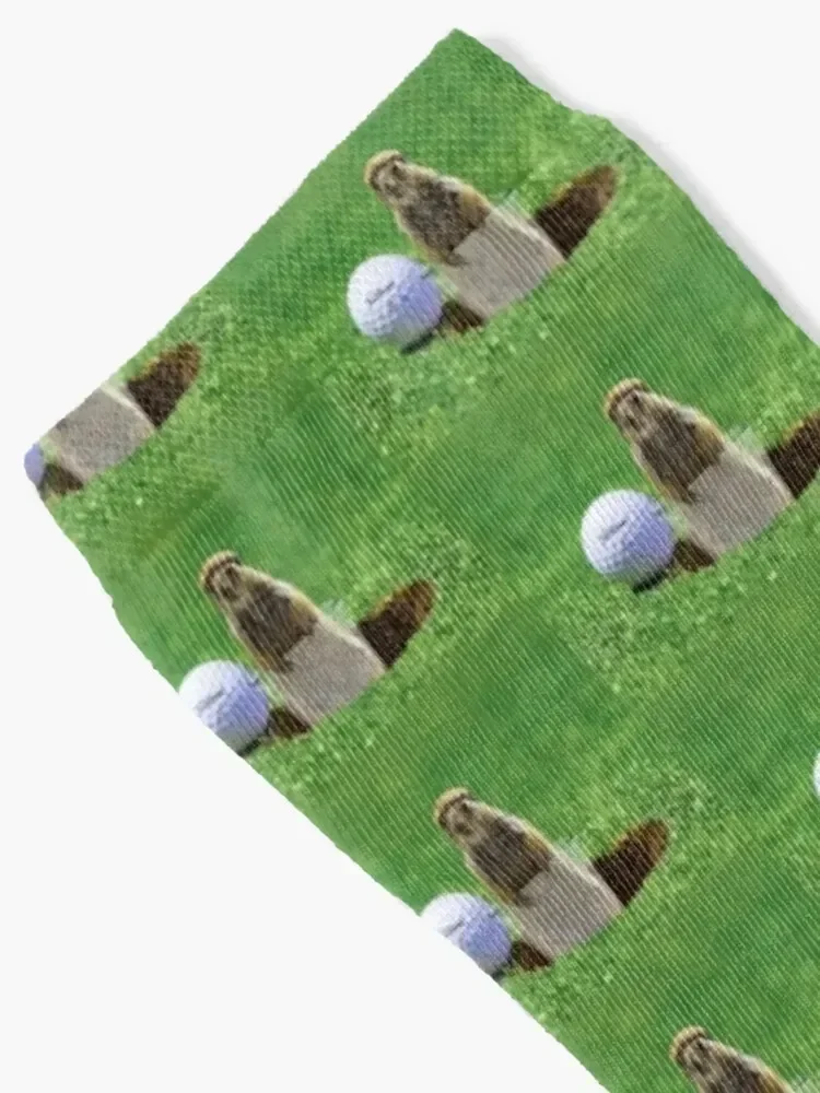 Gopher Golf Socks sport soccer anti-slip funny gift fashionable Men Socks Luxury Brand Women's