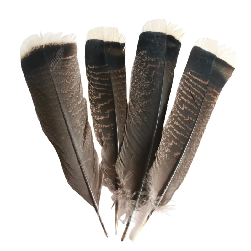 

Wholesale 25-30cm/10-12 Inch Natural Turkey Feathers for Crafts Decorative Accessories DIY Celebration Party Performance