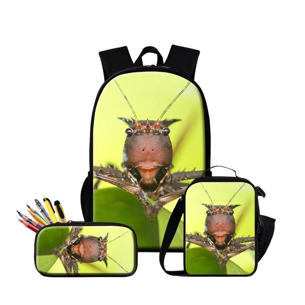 Aranha Insect Printing Backpack Set, Lunchbox Pencil Case para Estudantes, Saco de Escola Infantil, Mochilas Mochila para Menino Adolescentes, 3 Pcs