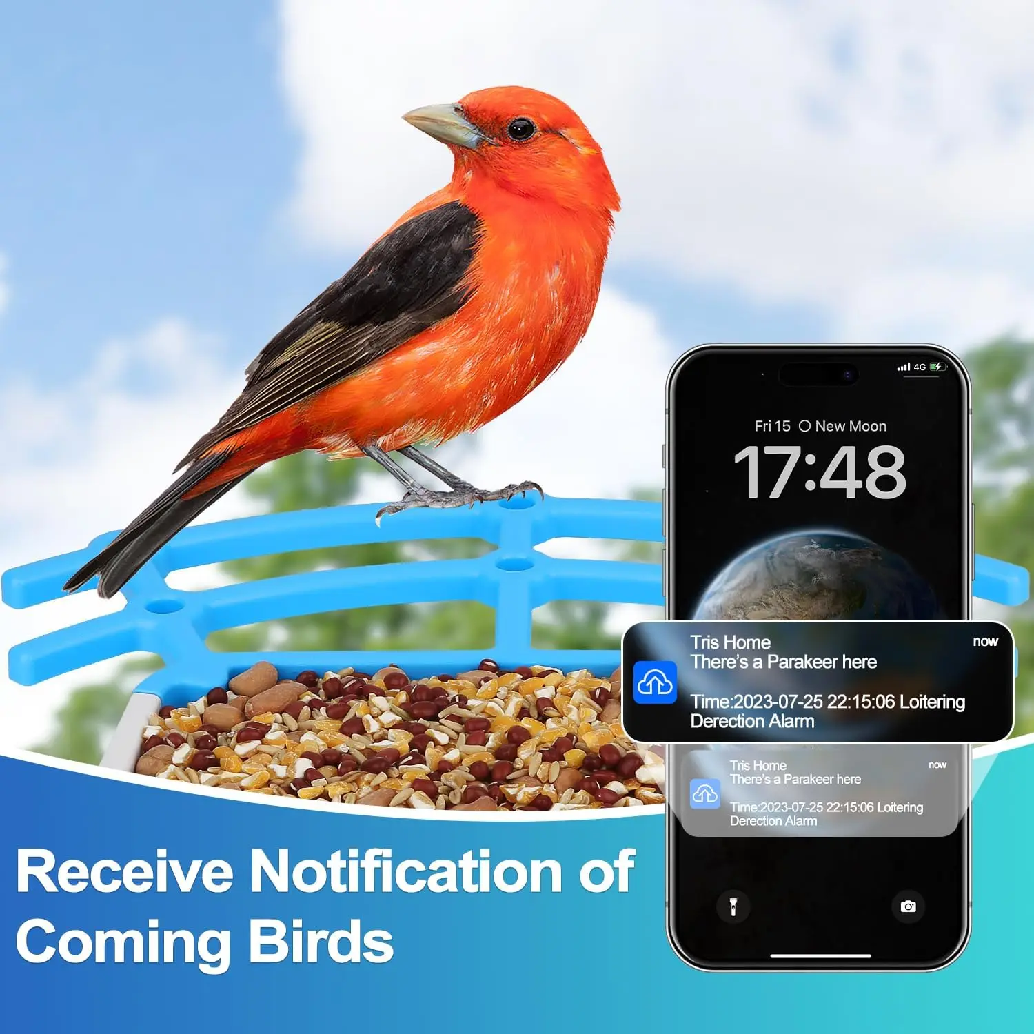 Wireless Outdoor APP Control Smart Bird Feeder with Camera Batteries Solar Powered Color Night Vision AI Identify Species