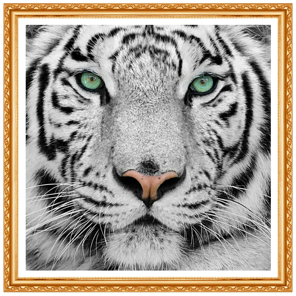 5D Full Diamond Embroidery Diamond  White Tiger Head DIY Diamond Painting Cross Stitch Craft Home Decoration