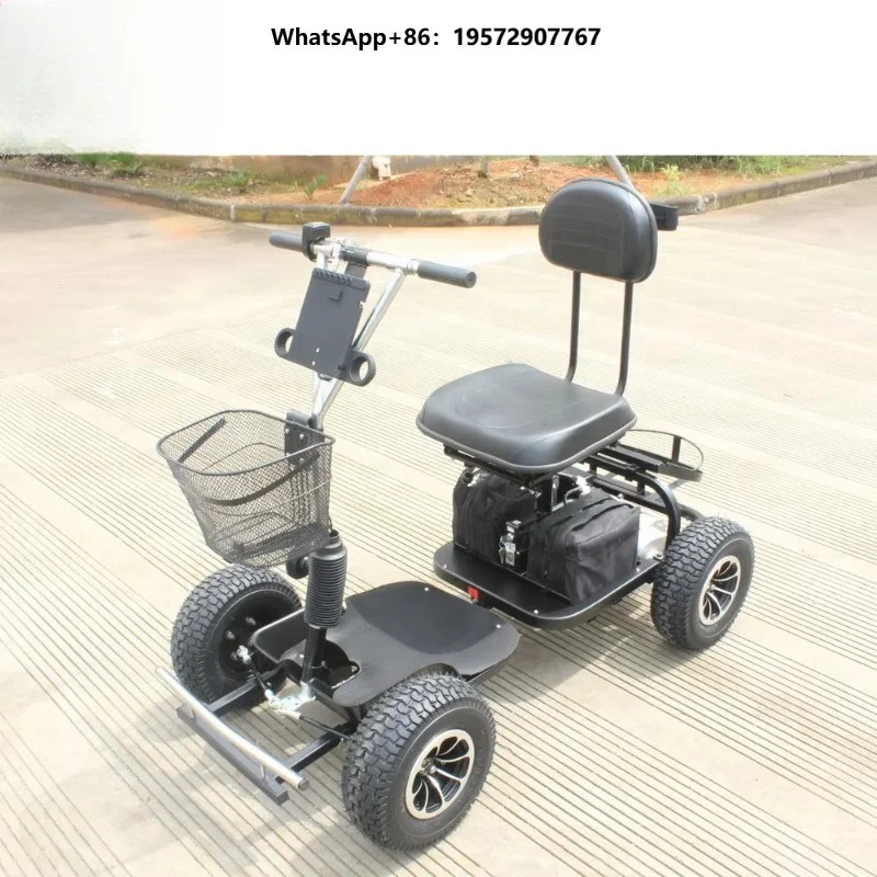 1 Seater 24V Mini Electric Golf Cart, 1000W Motor Electric Golf Cart