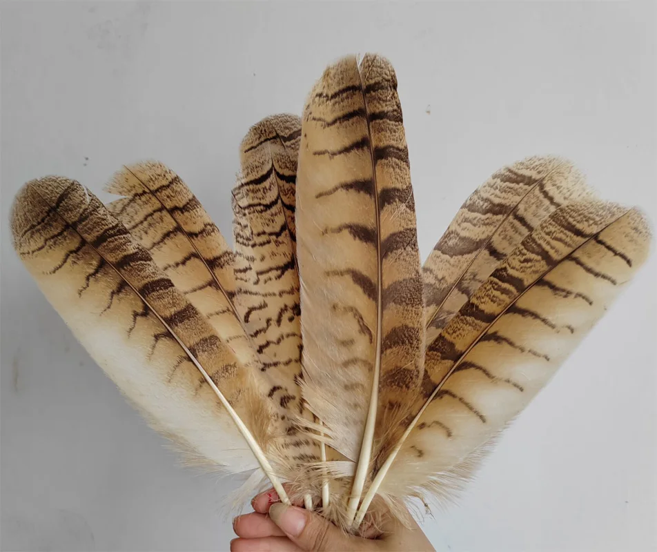 

Natural Owl Quill Feathers for Headdress Accessories Holiday Decoration Carnival Owl Feathers, 8-10" 20-25cm long,10pcs