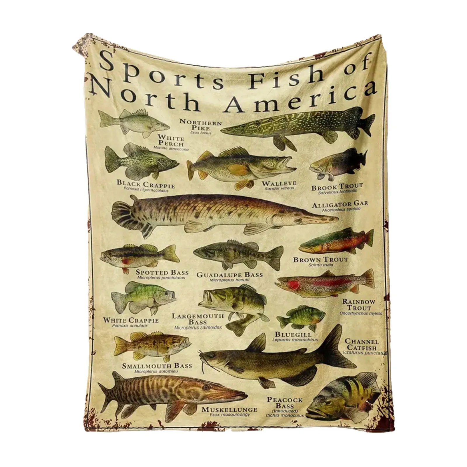 Vintage Classic Art Blanket Fishing Fish Sea Poster Home Living Bed Room Blanket Cool Gift For Fishing Guys Winter Sofa Blanket