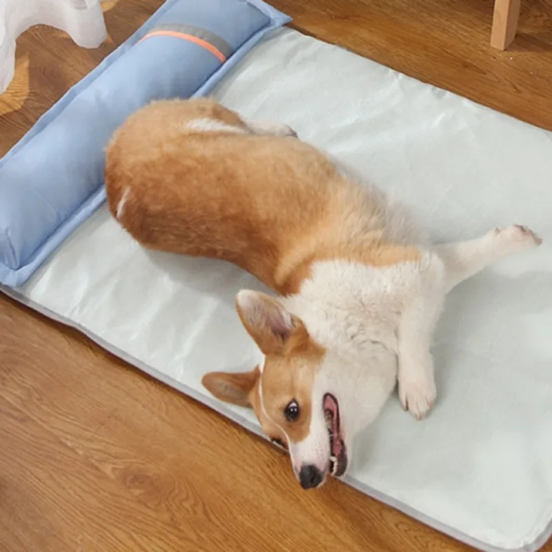 Thumbnail 3 - #4 Compare Cooling Puppy Mats Before You Buy