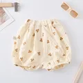 Dots bear