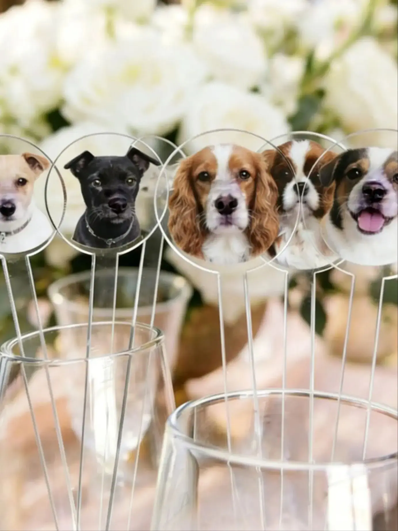 50/100/150Pcs Perso…