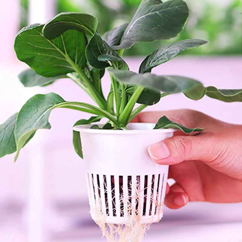 نظام زراعة ydroponic نظام أتمتة المنزل الذكي للبيع حار بيع المنزل الجديد الدفيئة نظام الزراعة المائية العمودي H