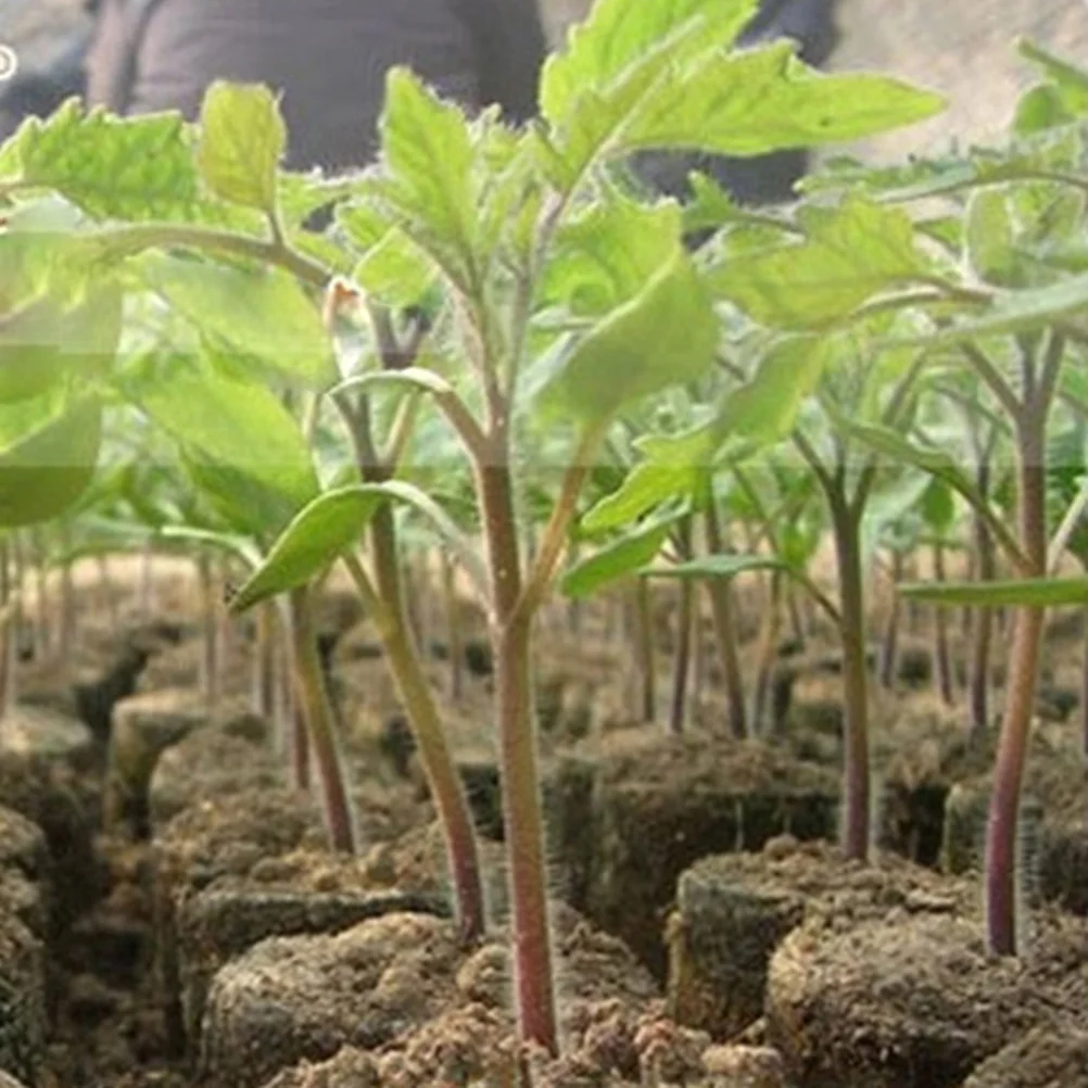 

50Pcs 30Mm Peat Pellets with Net Cover Moisture Retention Seed Starting System Suitable Factory Nursery Home Growing Kits