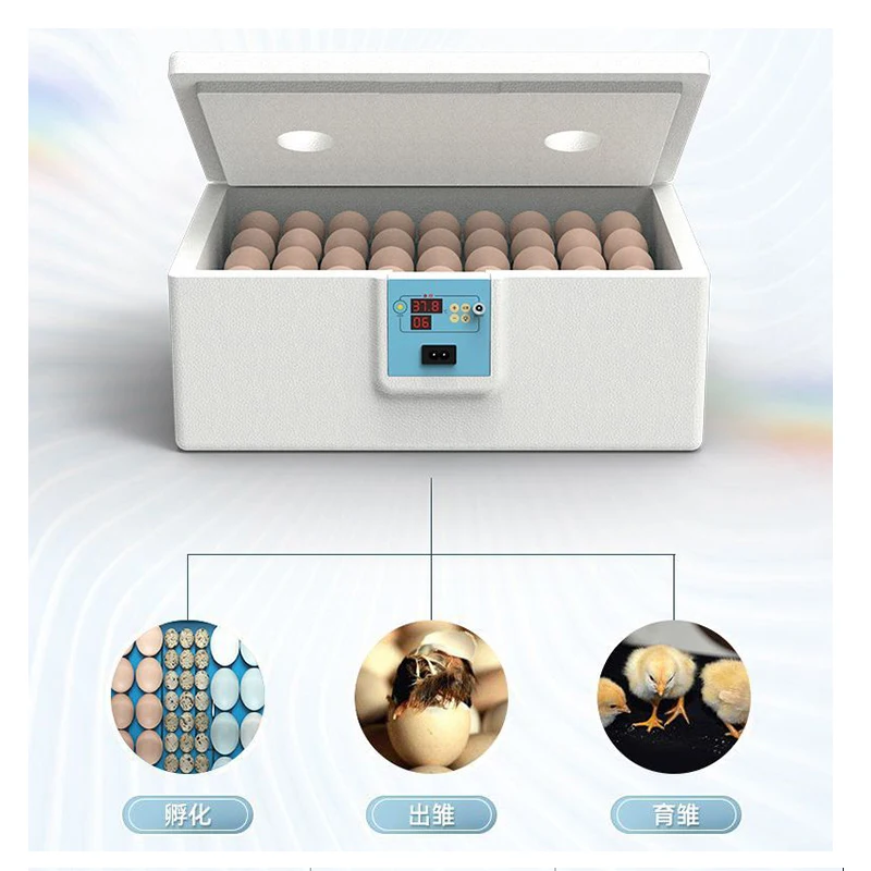 10 Egg Incubator Automatic Bionic Waterbed Incubator Egg Machine Thermostatic Incubator Manual Turnover All-in-One Machine