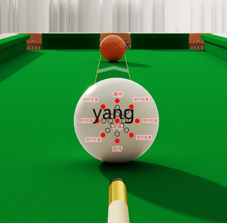 LTT Five-Point Family Standard Pool Table for Adults