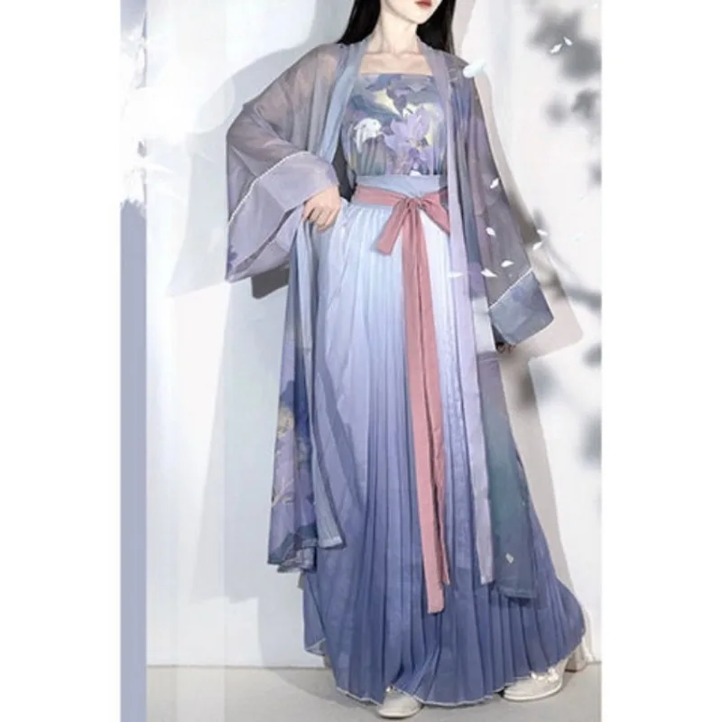 Robe Hanfu imprimée de fleurs violettes de la dynastie Song pour femmes, longueur de la taille, jupe plissée, vêtements chinois traditionnels