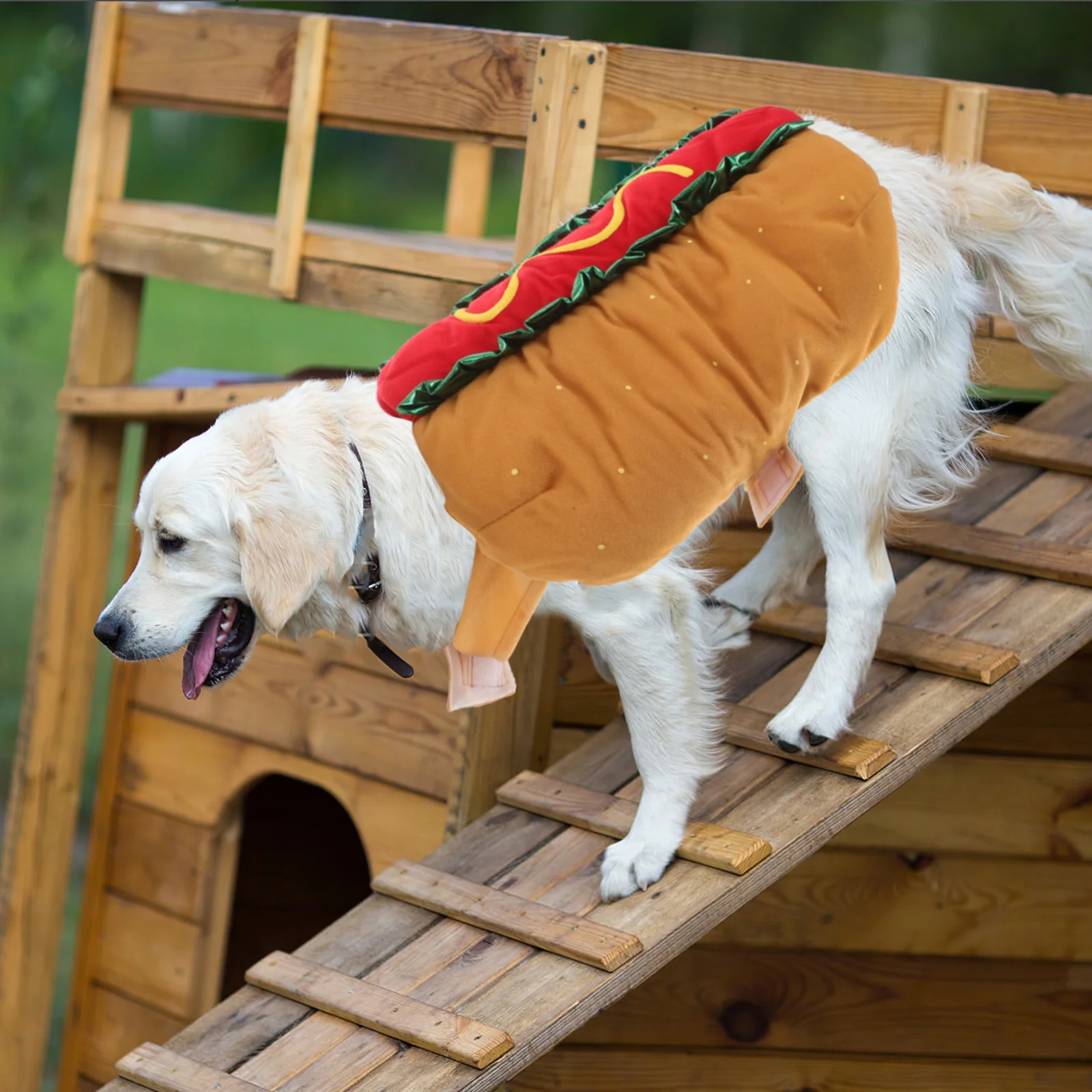 

Hot Dog Burger Transformation Costume For Pets Elastic Neck Easy On Off Dog Clothes Cat Halloween Outfit Size M