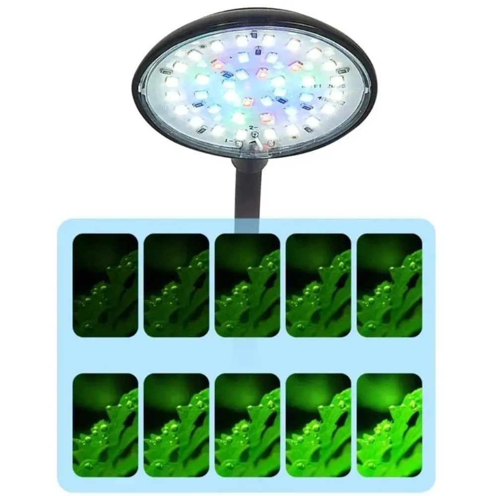 Mini lampe à pince pour Aquarium, Rotation à 360 degrés, économie d'énergie, lumière LED pour Aquarium, 5/7W, anti-éclaboussures, lumière pour plantes d'aquarium