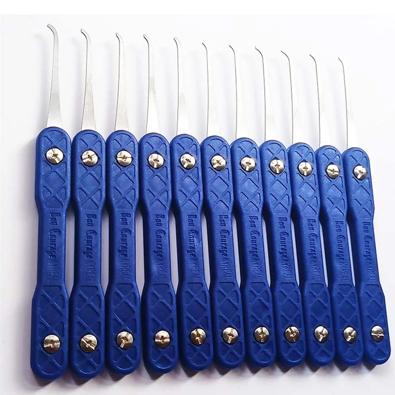 New Bon Courage Kyreal Blue Handle 11PCS Hooks Stainless Steel 0.4MM Thickness Plug 7 Tension Tool With Bag Locksmith Tools