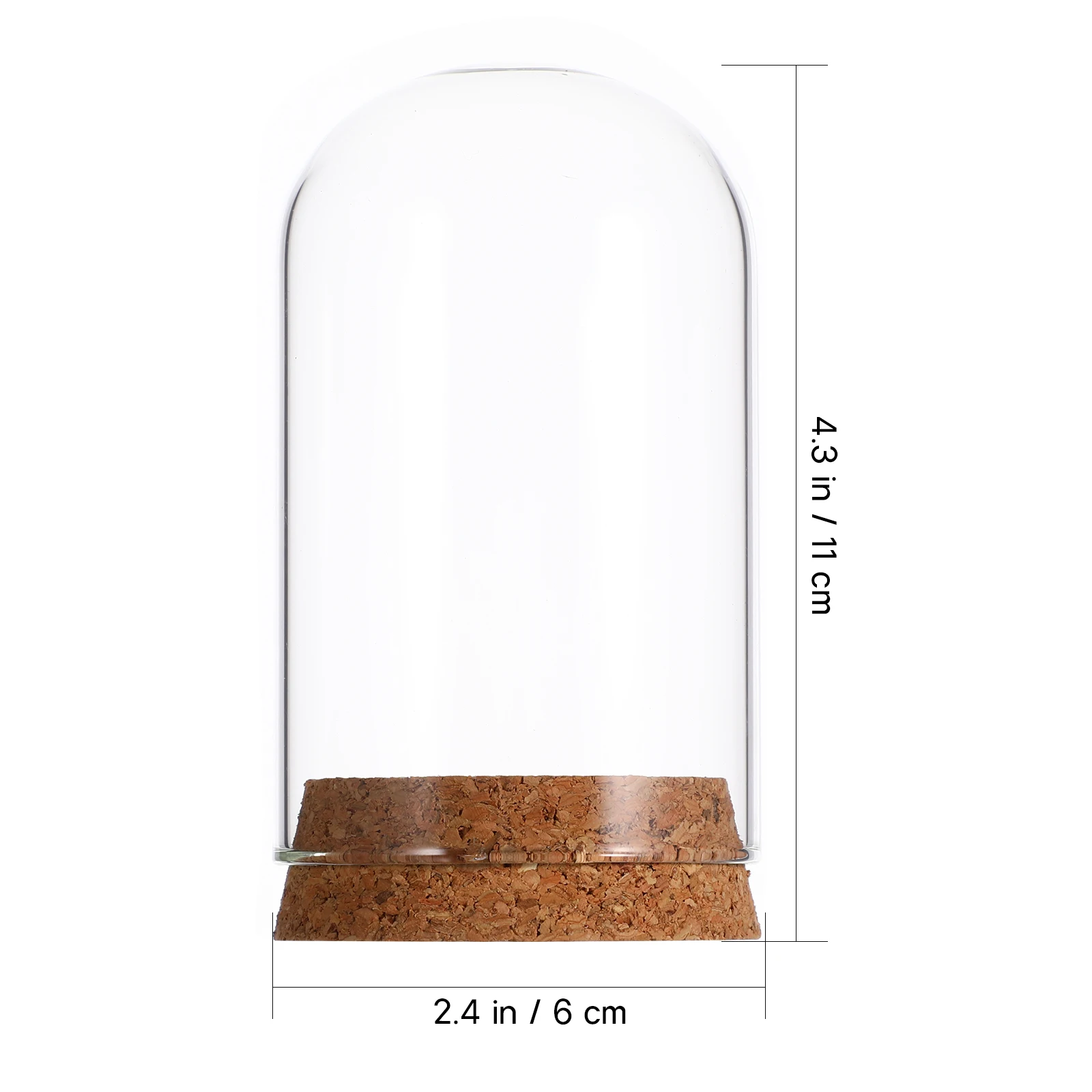 5Pcs Clear Glass Dome With Cork Base Eternal Flower Cover For Decor Glass Display Case Figurines Miniatures Decorative