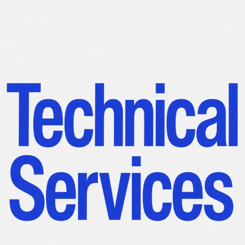 Professional technical services; no physical goods image 2