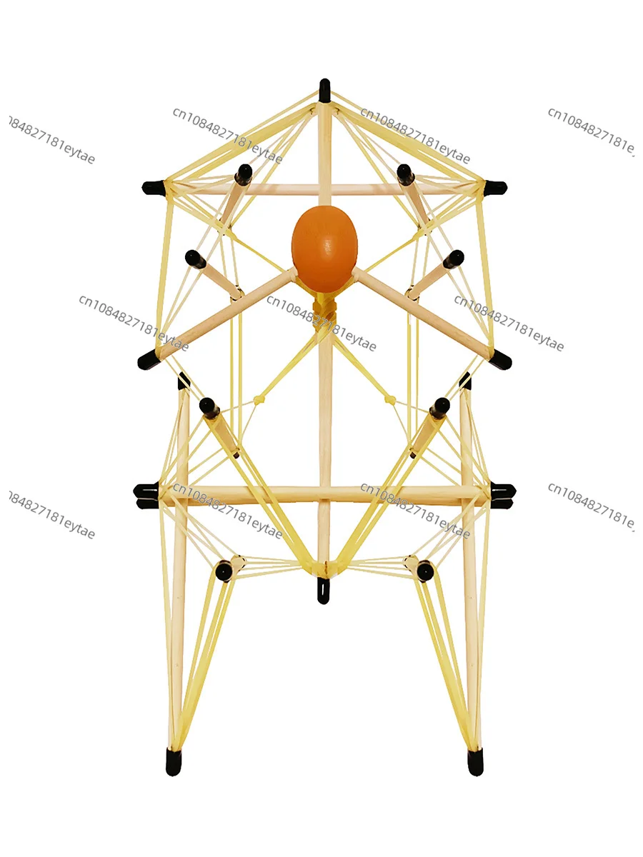 Spinal and pelvic tensioned overall model structure, fascia tensioned body teaching aids demonstrate dynamic axis anatomy train