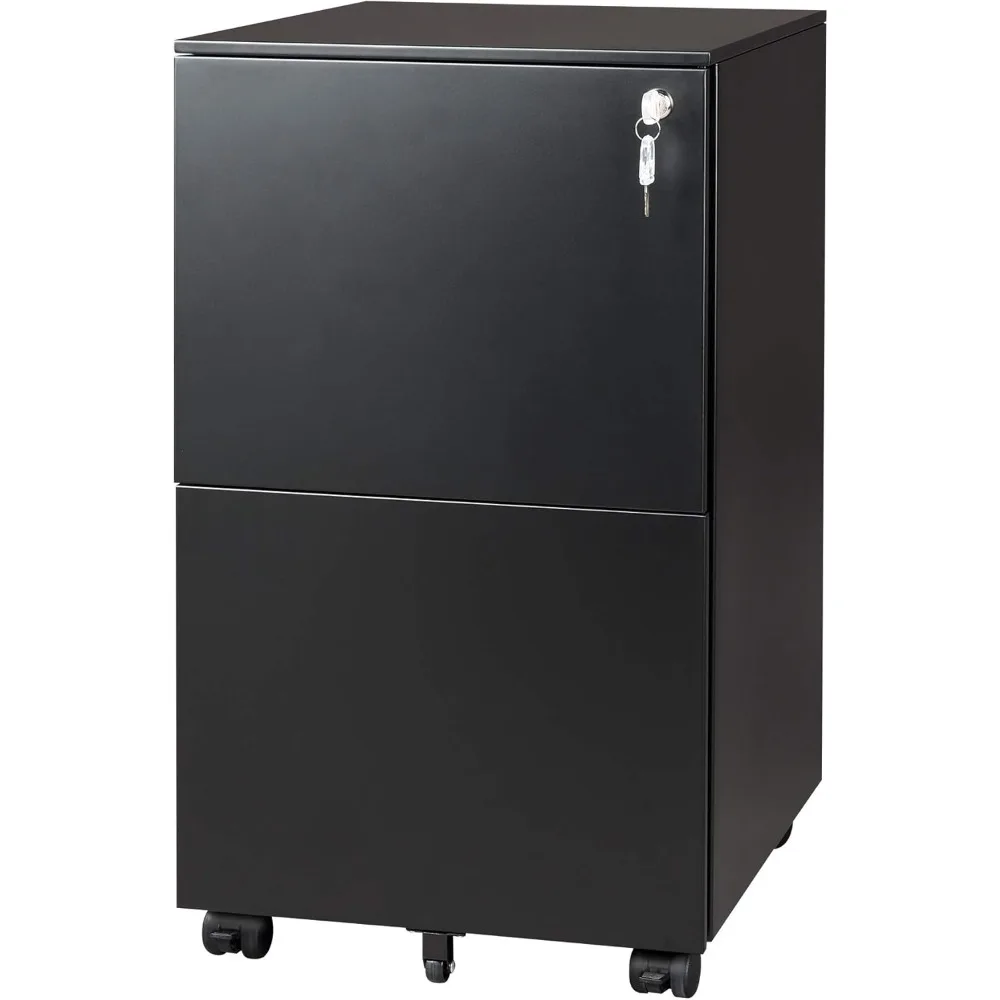 

DEVAISE 2-Drawer Mobile File Cabinet with Lock, Commercial Vertical Cabinet in Black