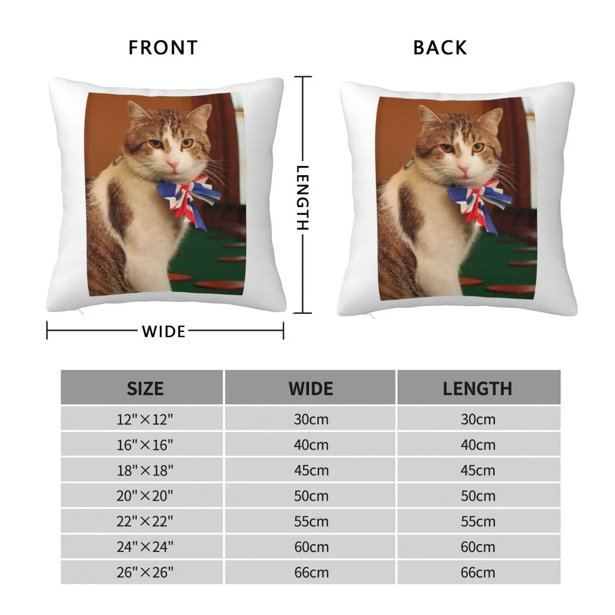 Aesthetic Larry The Cat Square Pillowcase Polyester Linen Velvet Pattern Zip Decor Throw Pillow Case Room Cushion Cover