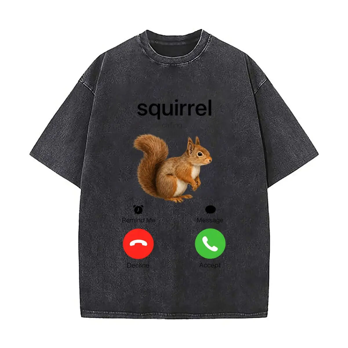 Squirrel Calling Remind Me Message Decline Accept Animal Design Washed Vintage Short Sleeve Loose Streetwear Tee