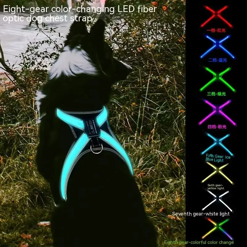 Thumbnail 2 - #7 Ranked Adjustable Pet Collars Picks in 2026
