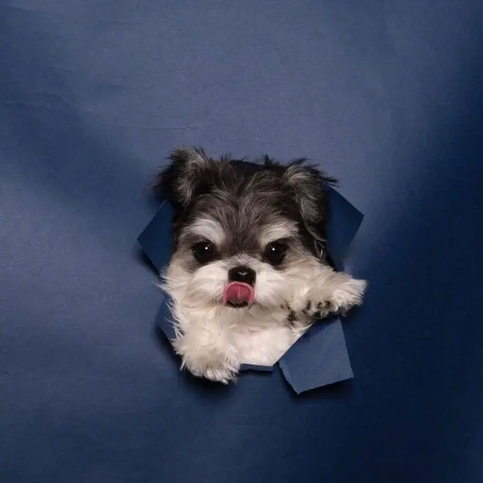 Car Ceramic Coating…