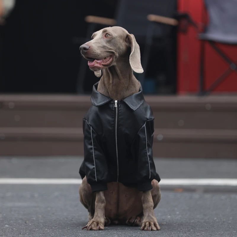 Fashion Spring Big Dog Clothes Leather Coat Jacket with zipper Luxury Labrador Golden Retriever Dobermann Meida Large Clothing