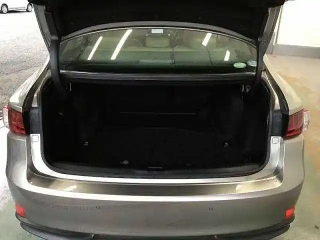 

With Spoiler 2PCS Rear Trunk Gas Struts For 2005-2015 Lexus IS F IS250 IS300 IS350 Tailgate Boot Gas Spring Struts Lift Support