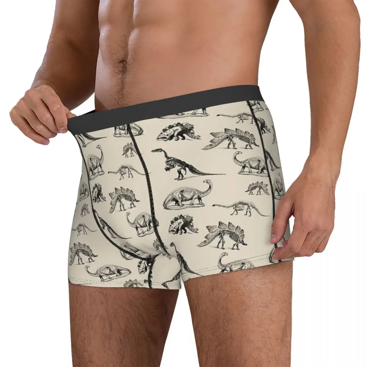 Boxer Underpants Shorts Vintage Museum Dinosaur Skeleton Illustrations Panties Men's Breathable Underwear for Homme Man